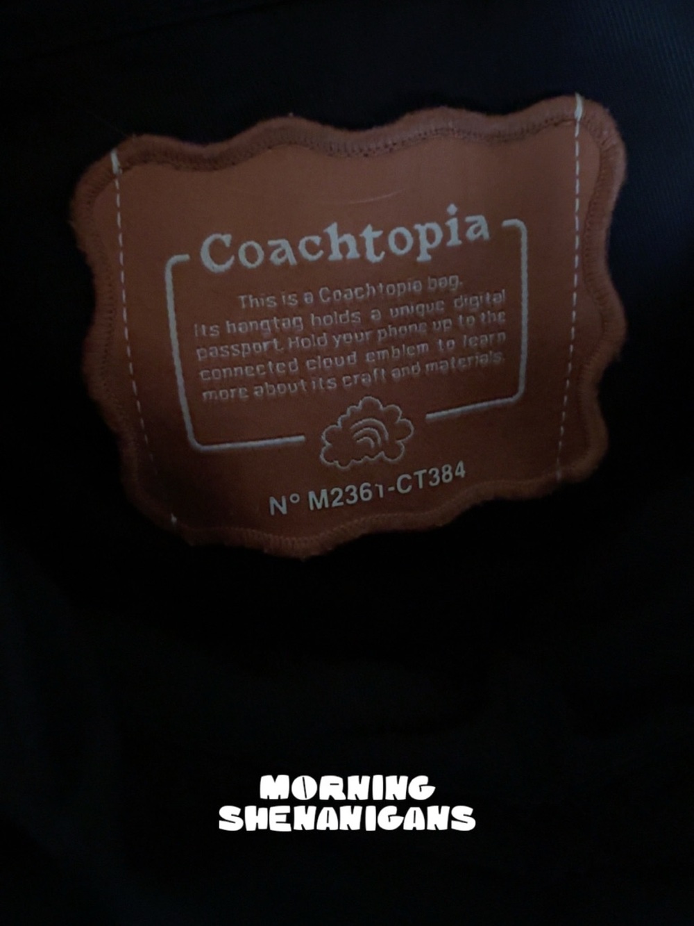 Coach Coachtopia Backpack - Picture 8 of 12